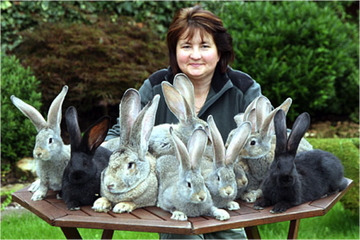 A smiling rabbits sits on table, showcasing their fluffy fur and joyful expression.