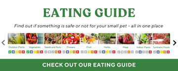 Eating guide advertisement