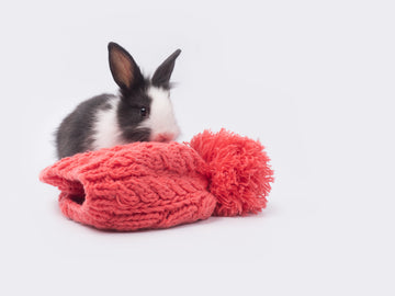 A black and white rabbit sitting behind a pink pom pom beanie on a white background