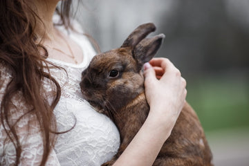 Girl holding a bunny