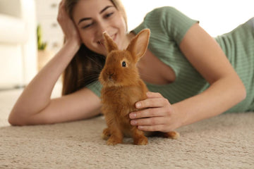 Woman holding a small rabbit