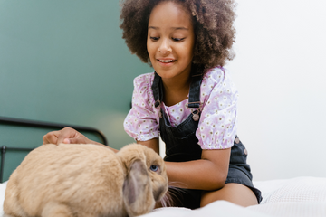 Young girl sitting next to and petting a light brown rabbit.