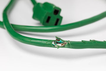 Green extension cord with chewed section