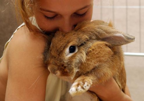 Girl smiling with rabbit