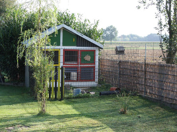 Rabbit hutch with red roof