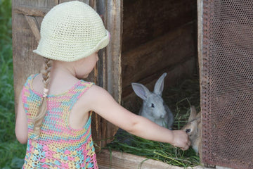 Little girl feeding rabbits.